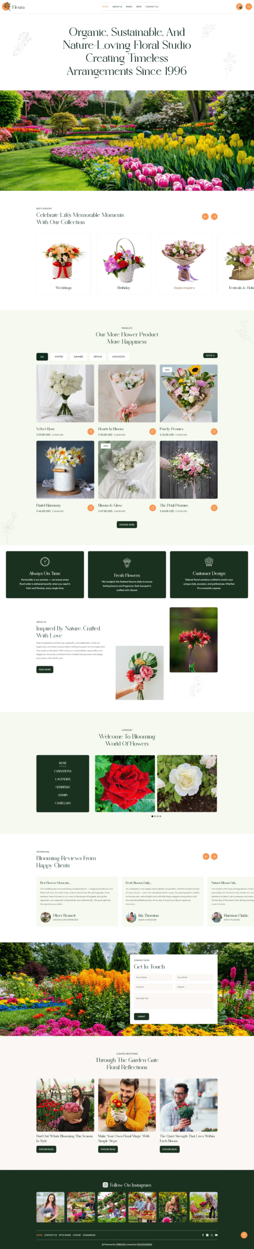 E-commerce Grocery